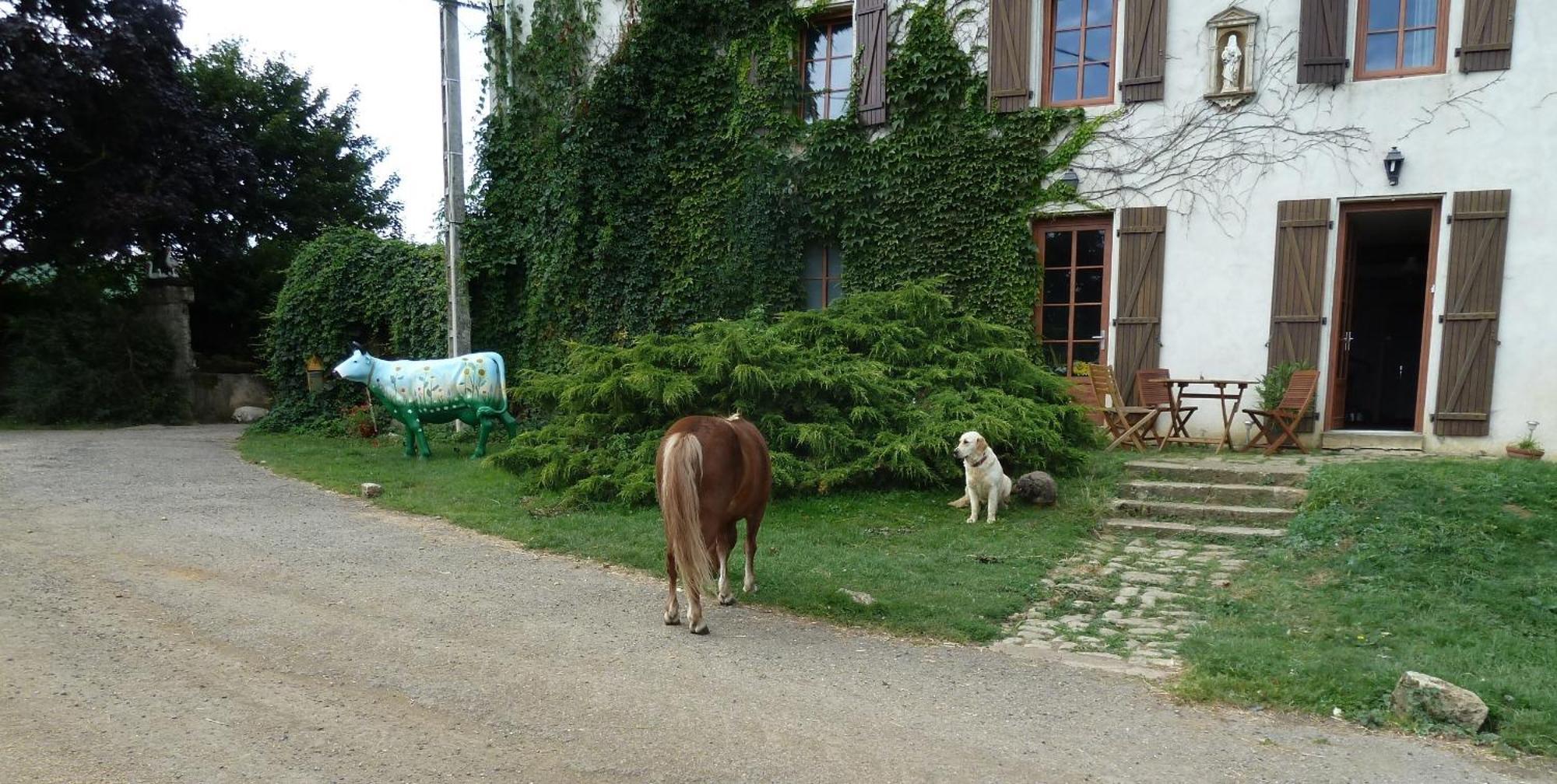 Ferme Du Montheu Bed and Breakfast Dommartin sous Amance Eksteriør billede